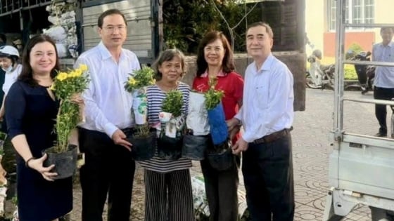 Phường Vũng Tàu, TPHCM, Bí thư Đảng ủy bỏ tiền mua hoa Huỳnh Anh từ tỉnh Đồng Tháp về trồng ở khu phố