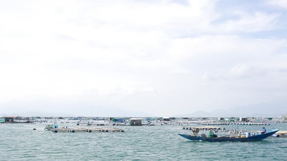 Dân không được xâm phạm vùng nước cấm ở vịnh biển nào của tỉnh Khánh Hòa?