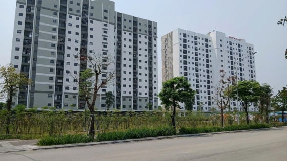 Nữ giới có thuộc đối tượng ưu tiên mua nhà ở xã hội?