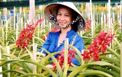 Tượng đài nông dân xóa nghèo trên đất thép Củ Chi (Bài cuối): Tiên phong xây dựng lớp nông dân mới