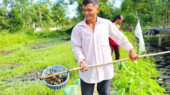 Nuôi 'con siêu đẻ', vợ chồng U70 ở Hà Tĩnh giàu hẳn lên, cứ bán là hút hàng