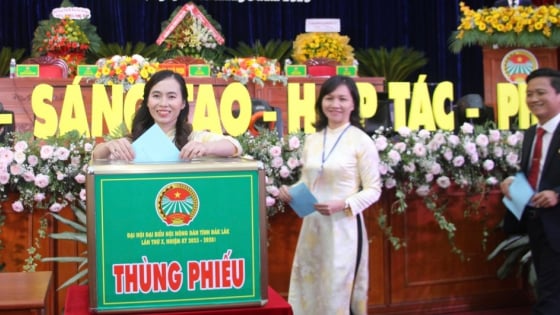 Trung ương Hội Nông dân Việt Nam hướng dẫn công tác nhân sự Đại hội Hội Nông dân cấp tỉnh, xã nhiệm kỳ 2025 – 2030