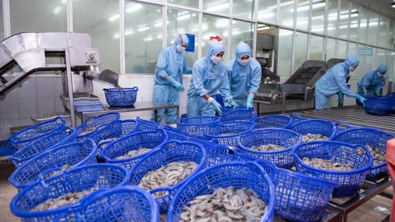 Mỹ áp thuế đối ứng 20%: Ngành hàng rau quả, thủy sản lo thất thế cạnh tranh, nguy cơ bị loại khỏi thị trường