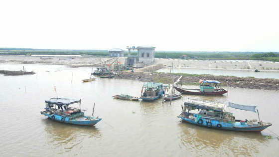 Tỉnh Ninh Bình (sau sáp nhập) đang hành động quyết liệt gỡ 'thẻ vàng' IUU 