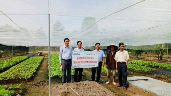 Xã Trừ Văn Thố ở TPHCM đang hiện đại hóa nông nghiệp, nâng tầm nông sản địa phương