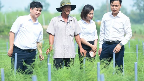 Hợp tác phát triển hệ thống tưới nước tiết kiệm cho cây trồng ở Khánh Hòa