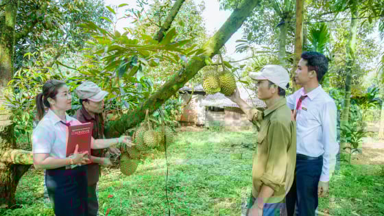 Agribank 'đi từng ngõ, gõ cửa từng nhà', giúp nông dân Đắk Lắk thắng lớn