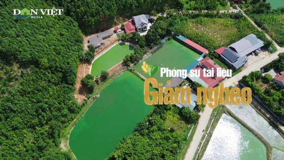 Xã Phong Hải, tỉnh Lào Cai: Câu chuyện 'đổi đời' trên mảnh đất quê hương từ mô hình nuôi cá