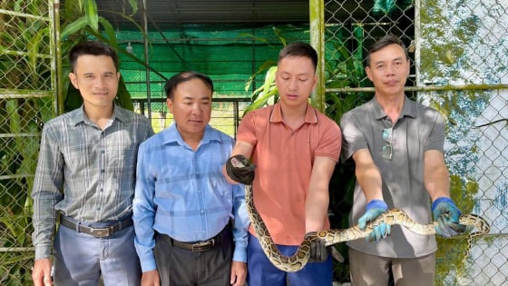 Đang thả lưới bắt cá, vô tình đụng trúng một con động vật hoang dã to dài, một người Hà Tĩnh nộp đơn vị chức năng