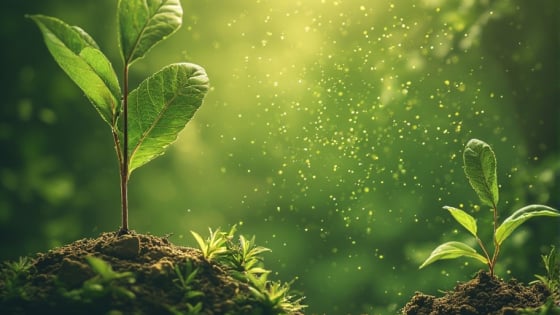 Thị trường tín chỉ carbon: Cơ hội tăng doanh thu khi xây dựng giảm phát thải từ gốc 