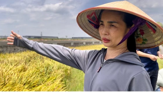 Vụ 13 hộ dân ở Hưng Yên bị thu hồi đất nhưng chưa nhận được đền bù, xã Yên Mỹ báo cáo tỉnh về phương án giải quyết