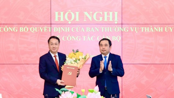 Ông Trần Đình Cảnh giữ chức Chủ nhiệm Ủy ban Kiểm tra Thành ủy Hà Nội