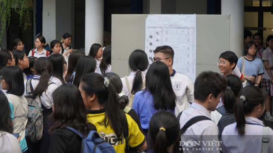 Đáp án môn Toán vào lớp 10 năm 2026 Ninh Bình đầy đủ nhất