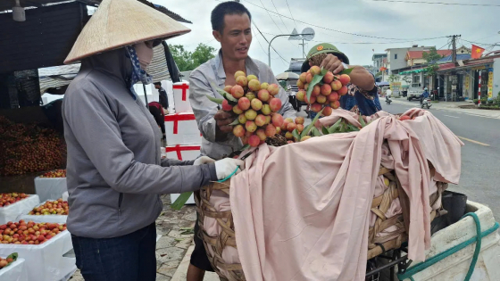 Cập nhật mới nhất tiến độ thực hiện sáp nhập thôn, tổ dân phố 2026 ở Hải Phòng (gồm địa phận tỉnh Hải Dương cũ)