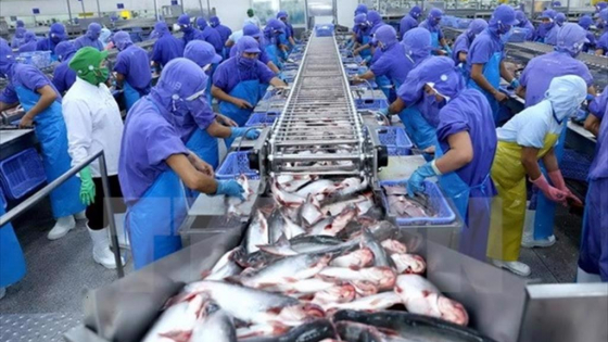 Bộ Nông nghiệp và Môi trường đề nghị Ả Rập Xê Út xem xét mở cửa trở lại đối với tôm, cá tra của Việt Nam