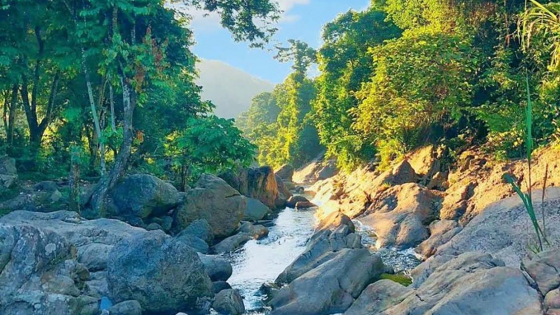 Phát hiện tọa độ 'giải nhiệt' miễn phí sát vách Hà Nội: Nước trong thấu đáy, nằm ẩn mình giữa rừng già Ba Vì