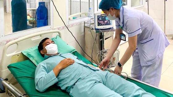 Ngộ độc cá nóc, người đàn ông ở Quảng Trị phải nhập viện cấp cứu