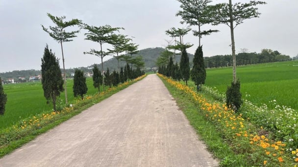 Ở Thái Nguyên, người dân chung tay kiến tạo miền quê đáng sống, làm những con đường nở hoa