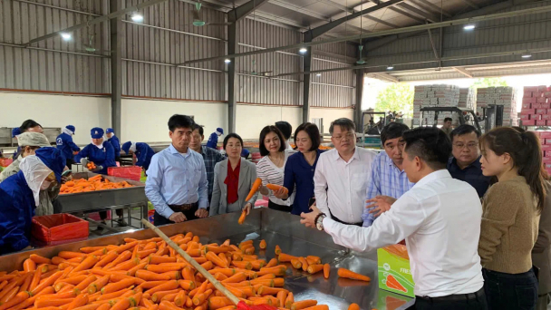 Sáp nhập Hải Dương, Hải Phòng, thành phố mới hơn 4,6 triệu người, nông dân, doanh nghiệp sẽ được hưởng nhiều chính sách ưu việt
