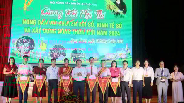 Bắc Giang: Hội Nông dân huyện Lạng Giang chủ động tham gia xây dựng nông thôn mới