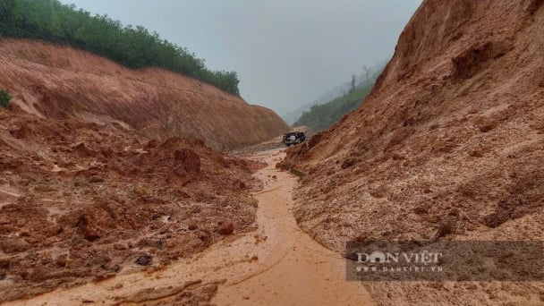 Thần tốc, chính xác, sát thực tế, Bình Định không còn 'những mùa bão bất ngờ'
