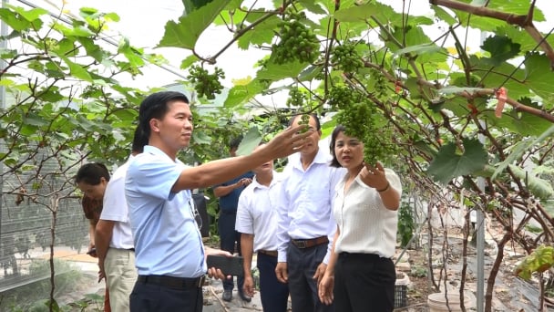 Hội Nông dân TP.Hà Nội nâng cao kỹ năng giám sát, phản biện xã hội cho đội ngũ cán bộ Hội