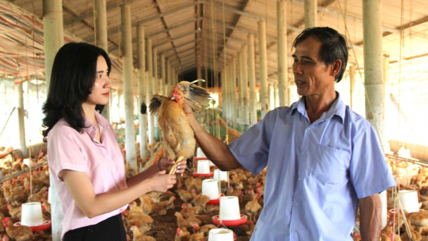 Vùng đất này ở Quảng Trị từng là bình địa, “cỏ lút đồng hoang” nay trù phú bất ngờ