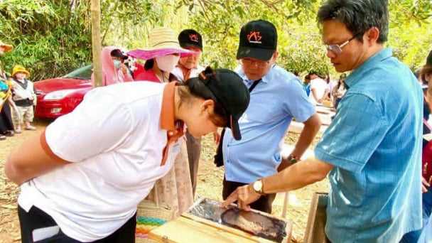 Quỹ HTND tỉnh Bà Rịa-Vũng Tàu hỗ trợ nhiều mô hình sản xuất hiệu quả, nông dân khá giả hẳn lên