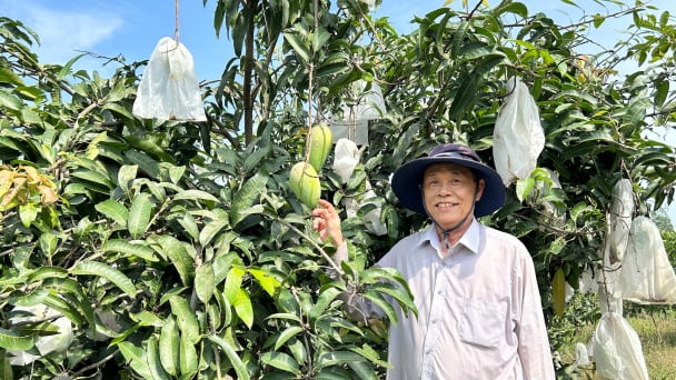 Nông dân Đà Nẵng phấn khởi với dự thảo sửa đổi Hiến pháp năm 2013