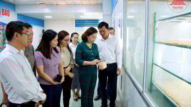 Hội Nông dân Vĩnh Phúc giám sát hỗ trợ thực hiện tái cơ cấu nông nghiệp, nâng cao thu nhập cho nông dân