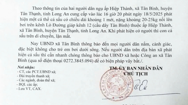 Xuất hiện một con động vật hoang dã dài 1m bơi trên kênh, chính quyền xã này ở Long An phát cảnh báo