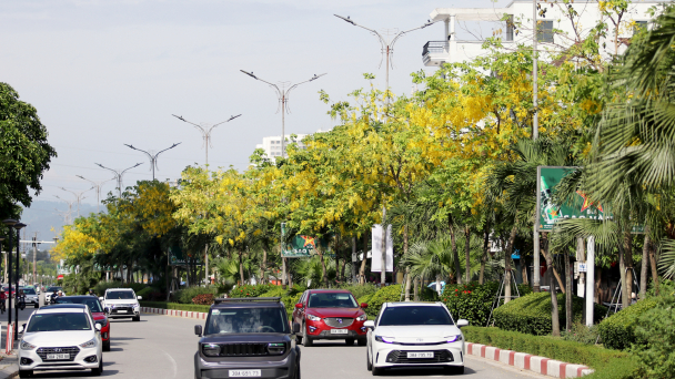 Cung đường hoa, con đường hoa đẹp như phim đang gây 'sốt mạng' ở Hà Tĩnh