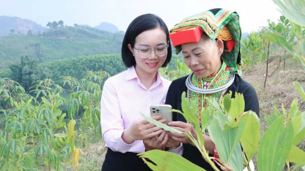Số hoá tín dụng chính sách, đưa vốn ưu đãi nhanh về với nông dân vùng cao Lạng Sơn