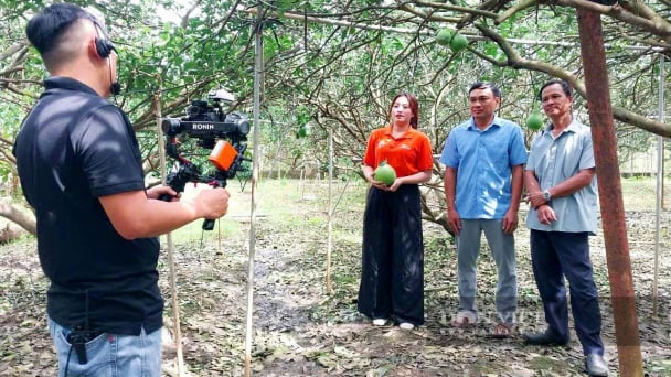 Số hóa ngành nông nghiệp, Đồng Nai bứt tốc, Hội Nông dân livestream bán bưởi, chốt đơn cả ngàn trái trong phút mốt