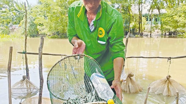 Trên dòng kênh lớn nhất Việt Nam, mùa này dân miền Tây ngóng lũ lên đồng, vá lưới còn bắt cá tôm ngon