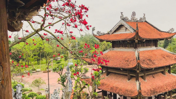 Sáp nhập 2 tỉnh Thái Bình, Hưng Yên, vùng đất mới có 2 làng cổ đẹp như phim, có làng tỷ phú