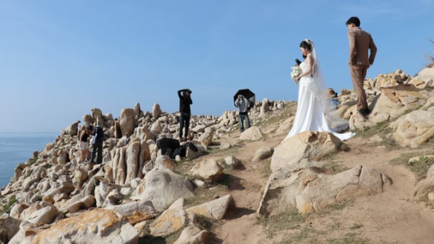Vùng rừng, vùng ven biển này ở Ninh Thuận khô hạn nhất Việt Nam, sao dân tình cứ muốn đến xem?