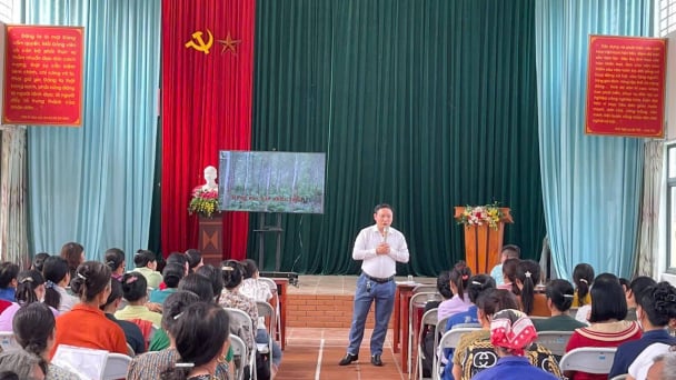Hội Nông dân Thái Nguyên hỗ trợ vốn, đẩy mạnh chuyển giao khoa học kỹ thuật giúp nông dân sản xuất hiệu quả