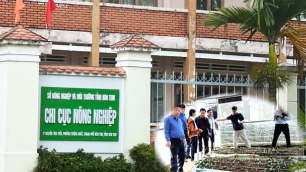 Sở NN&MT Kon Tum giải trình gì về vụ cấp mã vùng trồng sâm Ngọc linh cho doanh nghiệp?