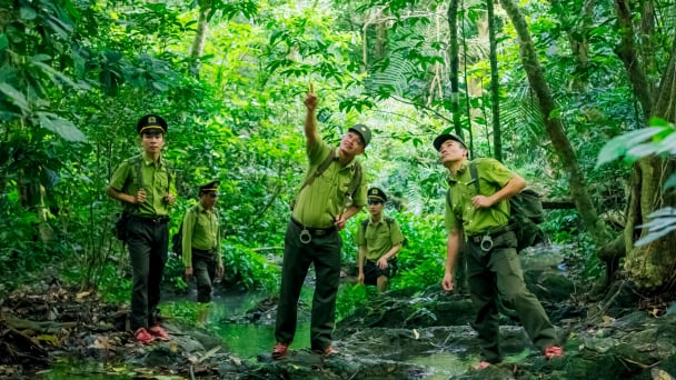 Tỉnh mới Ninh Bình, đây vẫn là khu rừng động vật hoang dã có trong sách đỏ Việt Nam được bảo vệ tốt