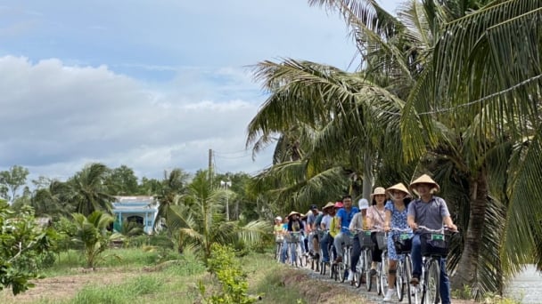 Một ngành kinh tế đang 'hot' của Trà Vinh vẫn đóng góp lớn vào tỉnh mới Vĩnh Long sau sáp nhập 3 tỉnh, gồm cả Bến Tre