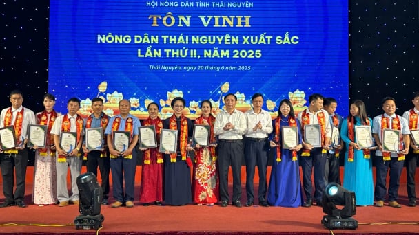 Thái Nguyên biểu dương, khen thưởng và tôn vinh 168 tập thể, cá nhân điển hình tiên tiến và nông dân xuất sắc
