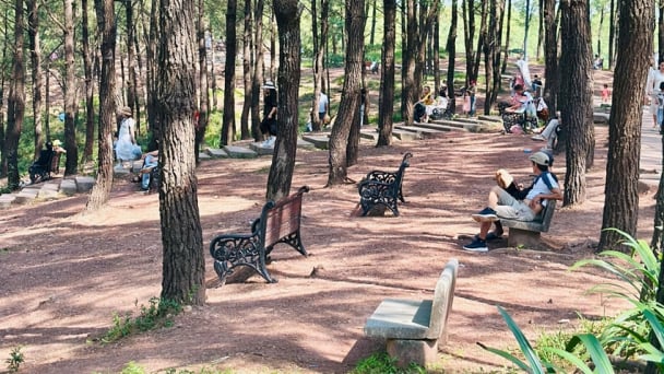 Có người ví dân Huế 'quá sung sướng' khi đang được sống mát mẻ trong một “resort khổng lồ”