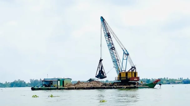 Chủ tịch UBND tỉnh Đồng Tháp ban hành Chỉ thị về tăng cường quản lý một loại tài nguyên quan trọng