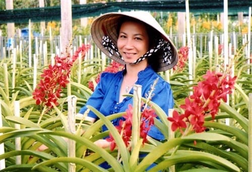 Tượng đài nông dân xóa nghèo trên đất thép Củ Chi (Bài cuối): Tiên phong xây dựng lớp nông dân mới