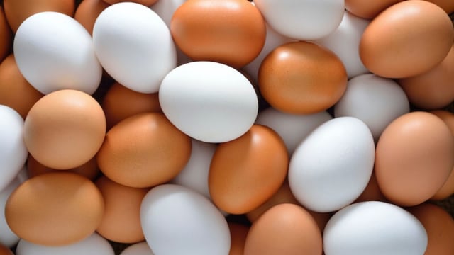 Vì sao không thể làm giả được trứng gà?