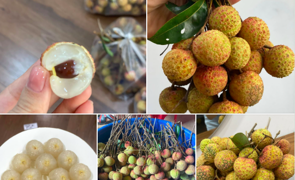 Vải thiều vào mùa vừa ngon vừa rẻ: Ăn 2kg mỗi ngày có tốt cho sức khoẻ không?