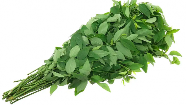 Vò nát rau ngót trước khi nấu sẽ tăng giá trị dinh dưỡng lên nhiều lần? 