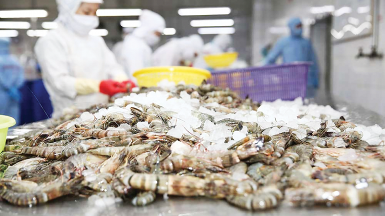 Xuất khẩu tôm Việt sang Anh thuận lợi hơn sau khi Anh gia nhập CPTPP