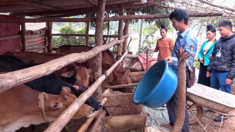  Nông dân vươn lên từ vùng đất khó, góp sức xây dựng bản làng